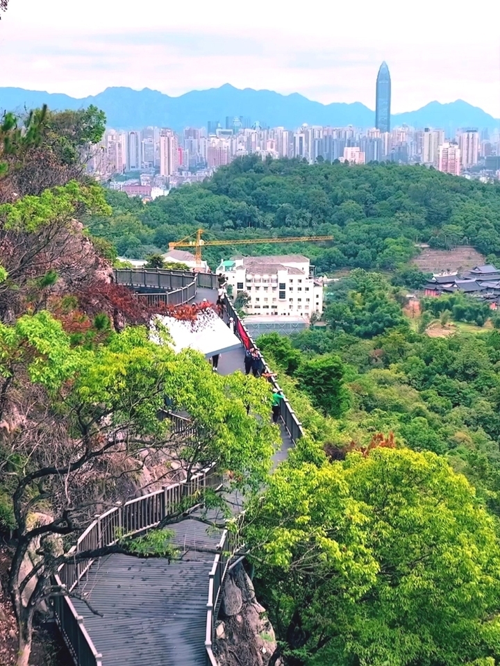 温州景山公园新建的观光栈道#航拍这么玩#打开app
