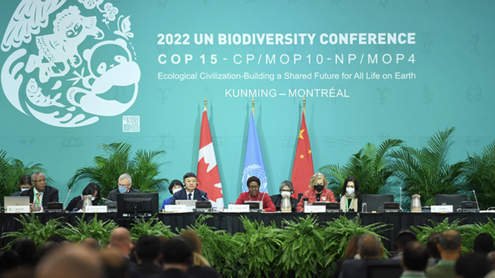 秦天宝:COP15-2何以破解全球生物多样性治理难题