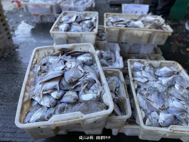 微信图片_20221224155609.jpg
