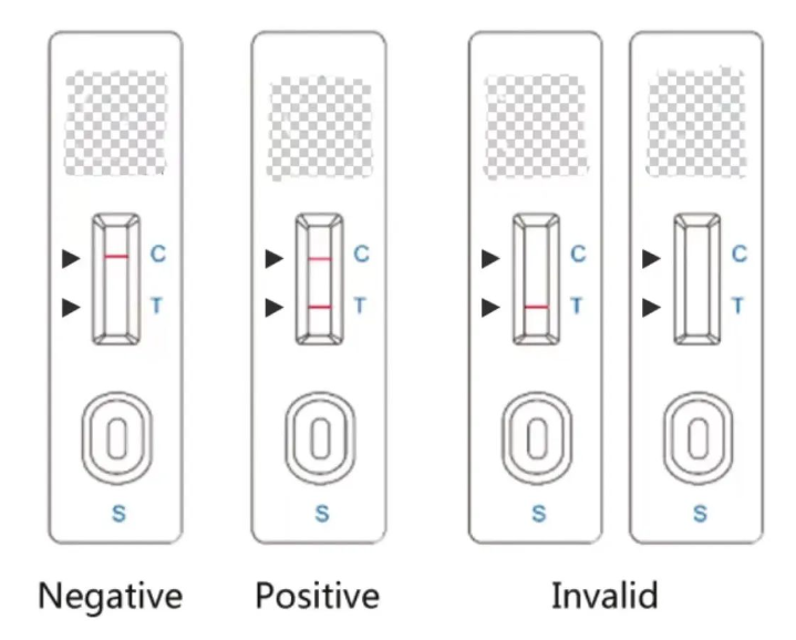 抗原试剂盒上的C、T和S是什么意思?