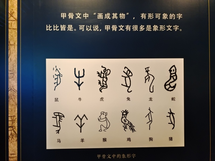 殷墟甲骨、简牍、敦煌遗书、明清档案首次在国家典籍博物馆集中亮相