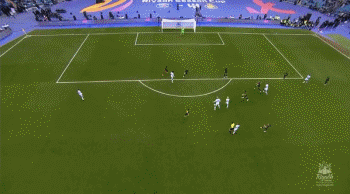 12.gif