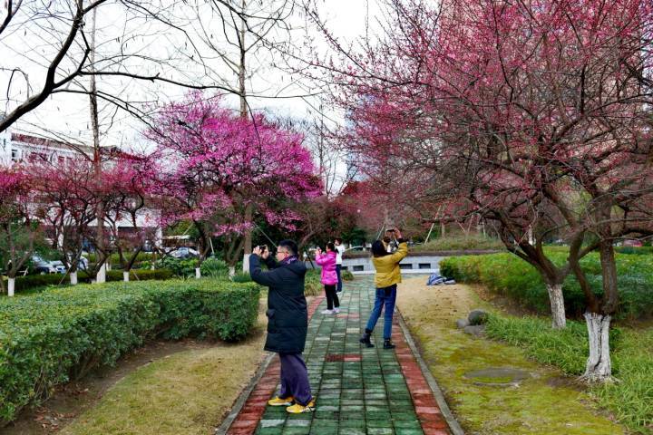 微信图片_20230217102257.jpg 微信图片_20230217102257.jpg