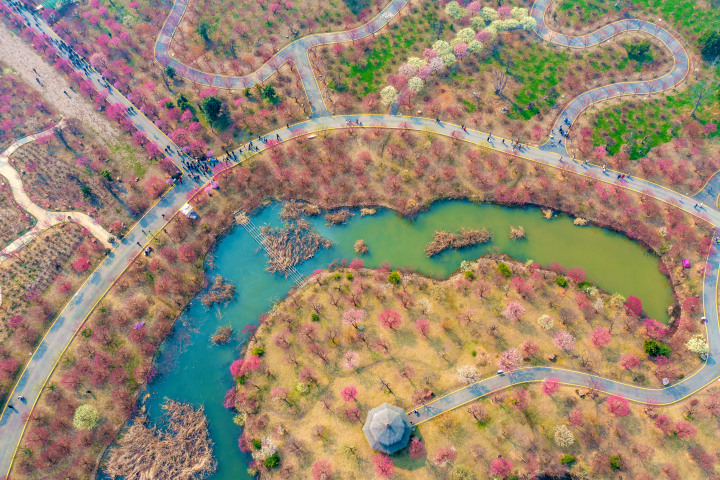 DJI_0854.jpg