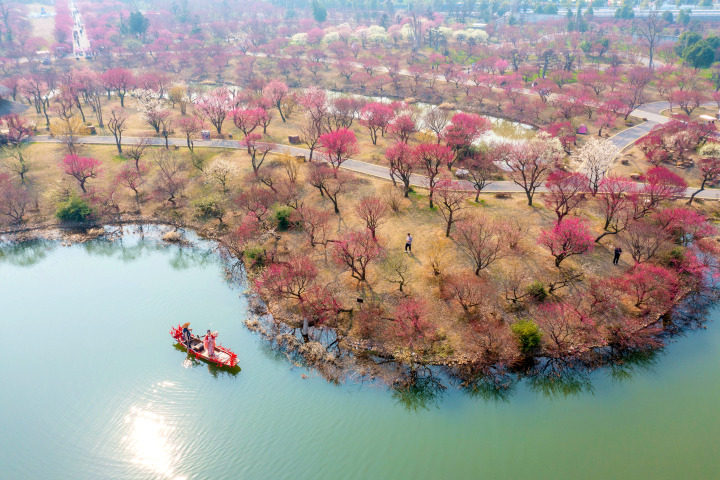 DJI_0843.jpg