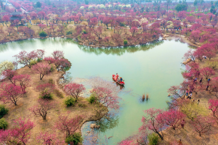 DJI_0872.jpg