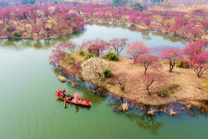 DJI_0878.jpg