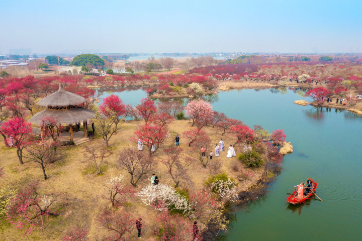 DJI_0889.jpg