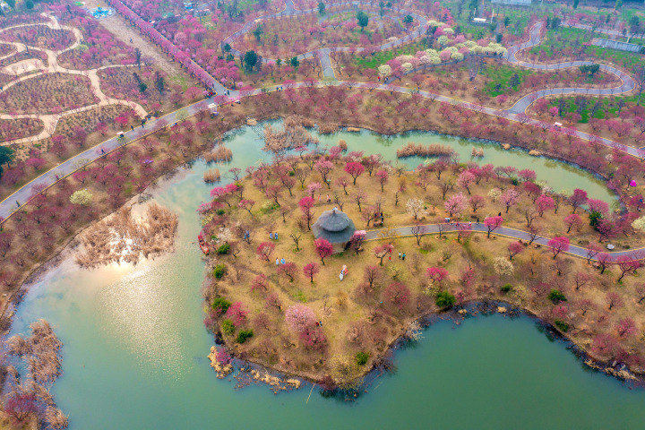 DJI_0897.jpg