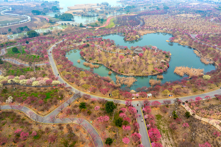 DJI_0899.jpg