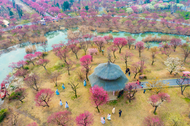 DJI_0905.jpg
