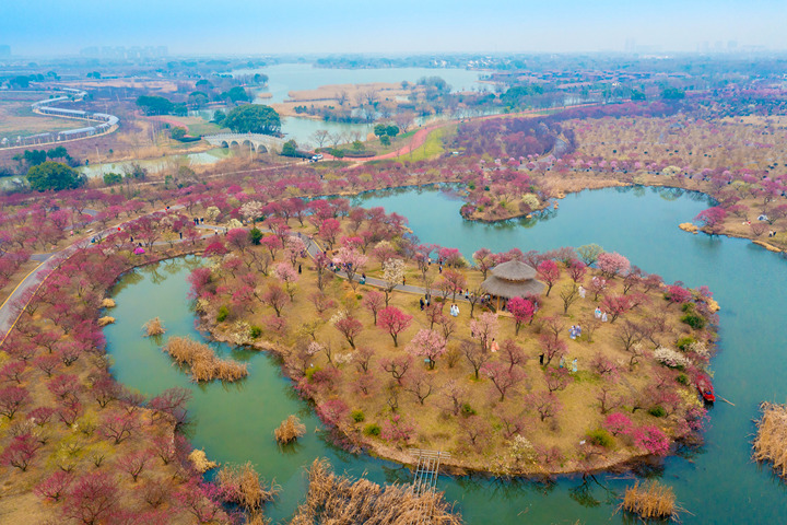 DJI_0914.jpg