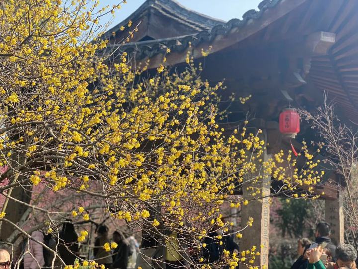 微信图片_20230218152738.jpg