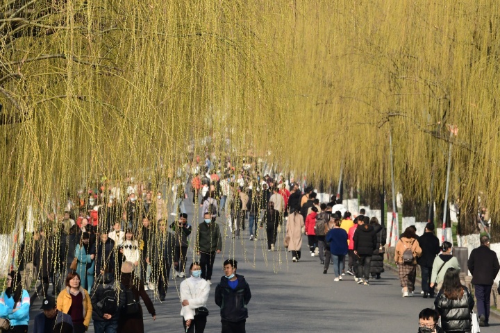 春风杨柳染新绿（里尔摄影）3.jpg