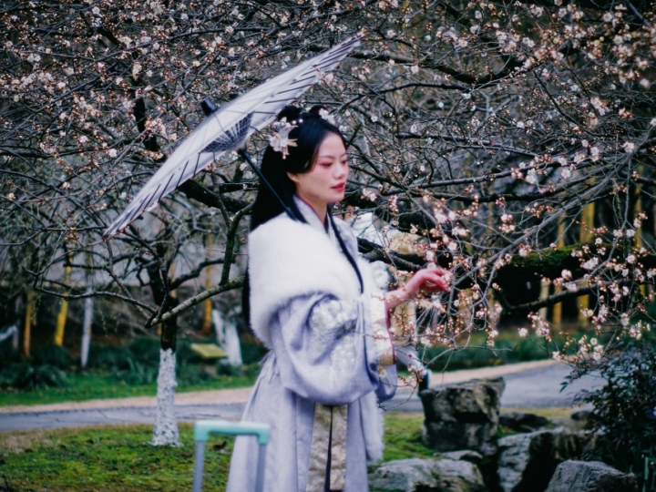 阿甲3426342.jpg
