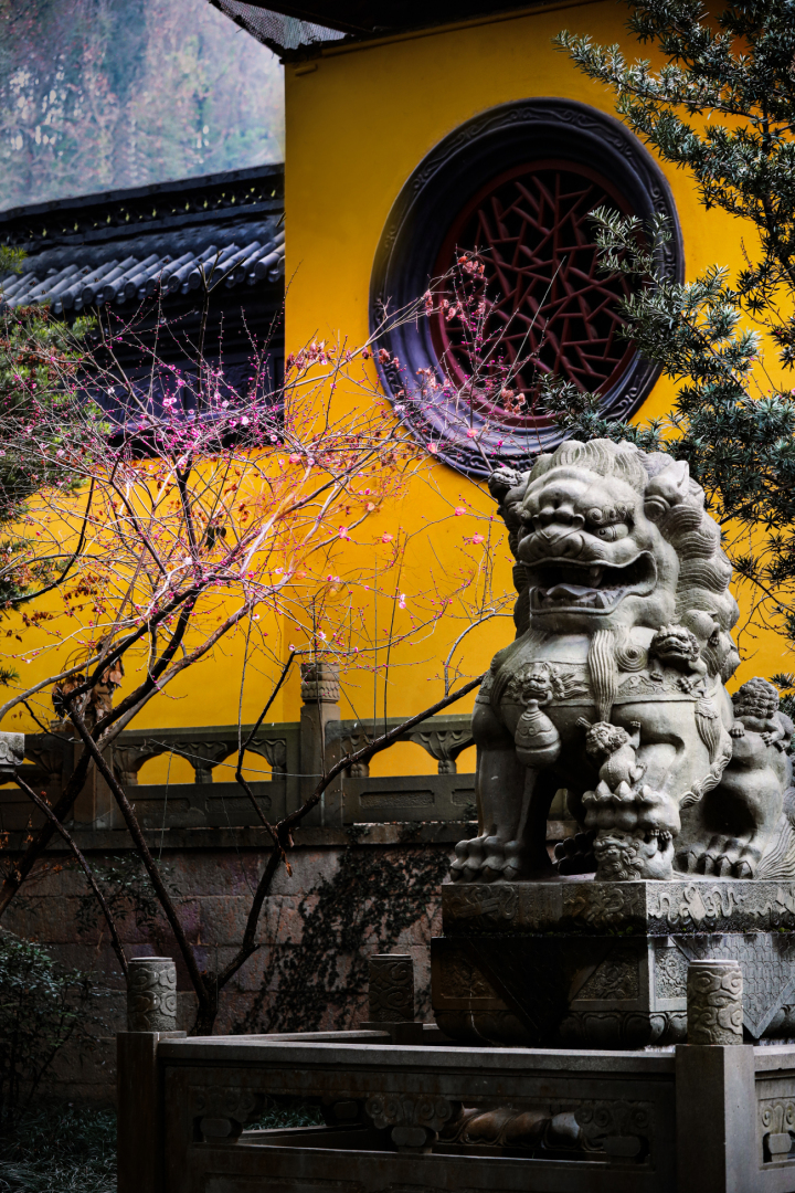 停香：净慈寺梅花.jpg