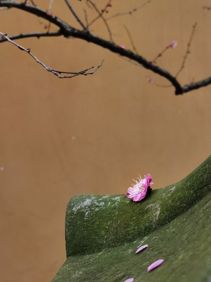 如玉的石头 高丽寺.jpg