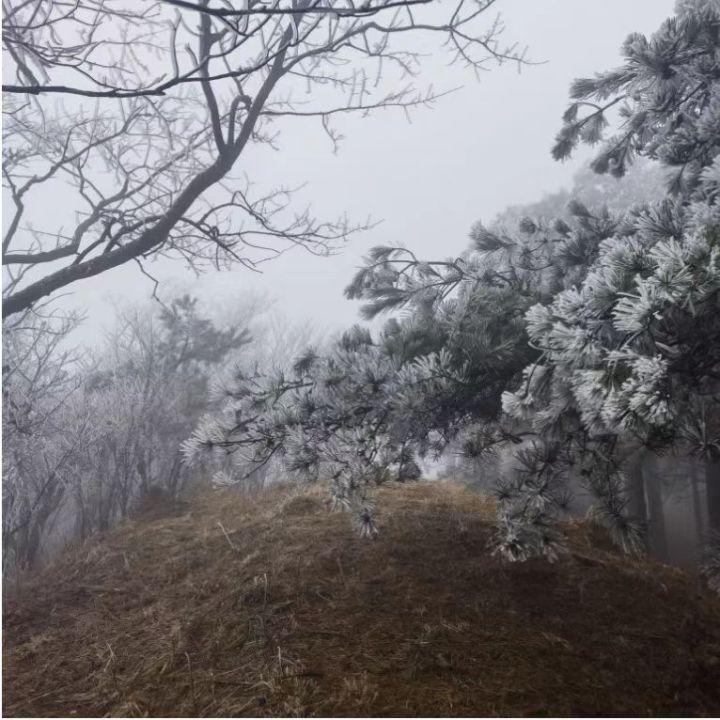 微信图片_20230227074734.jpg