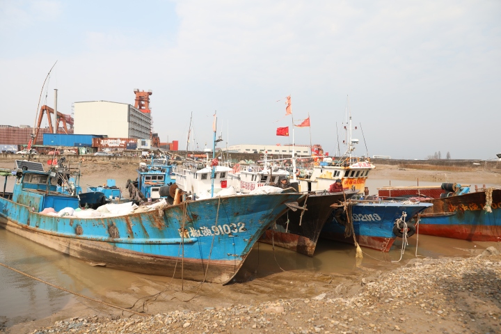 禁渔期，停泊在<font color='red'>椒江</font>松浦闸的内陆渔船。共享联盟·<font color='red'>椒江</font> 葛嘉仪 摄.JPG