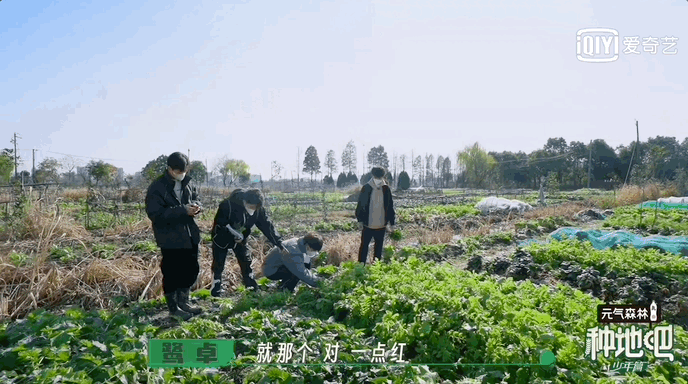 Mar-06-2023 19-16-48.gif