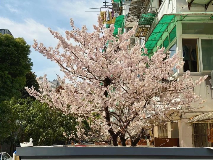 微信图片_20230307130251.jpg