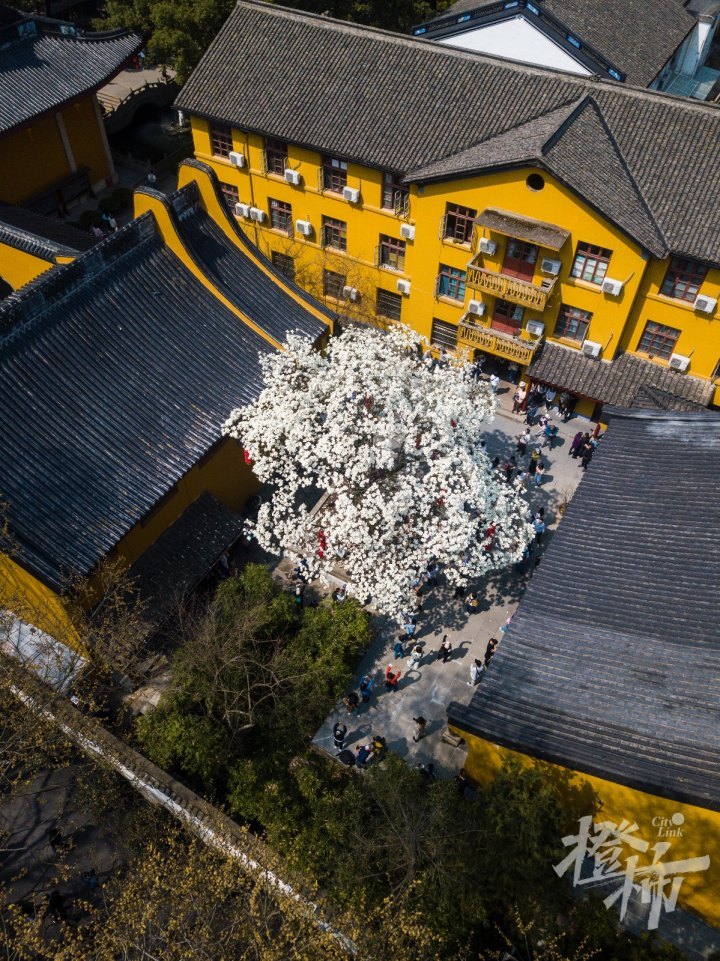 DJI_0116 -1.jpg