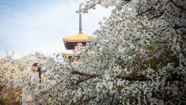 从4月持续到8月 河北唐山连续10名省管干部被查