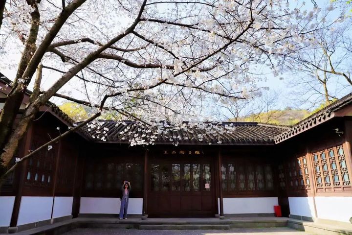 微信图片_20230317072219.jpg
