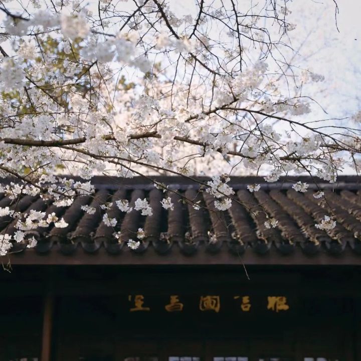 微信图片_20230317072225.jpg