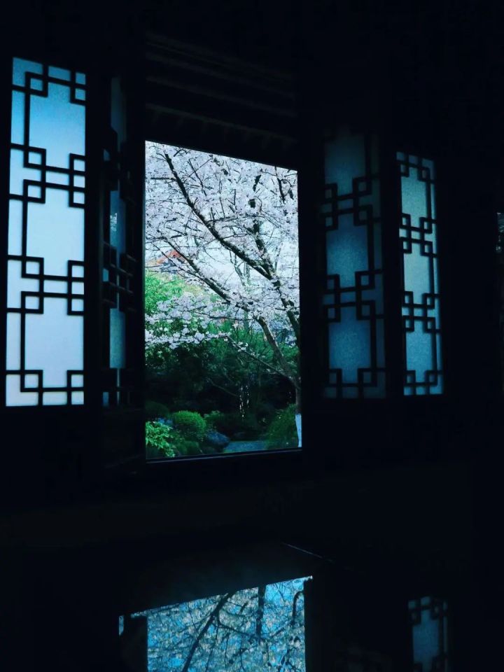 微信图片_20230317072232.jpg