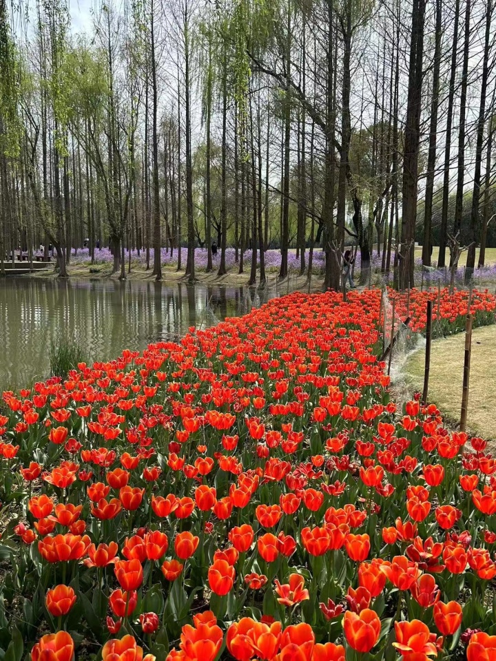 微信图片_20230317175204.jpg