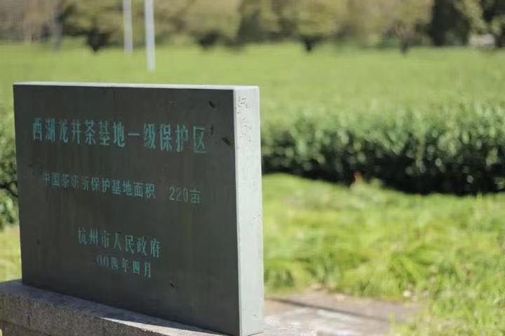 微信图片_20230319181340.jpg