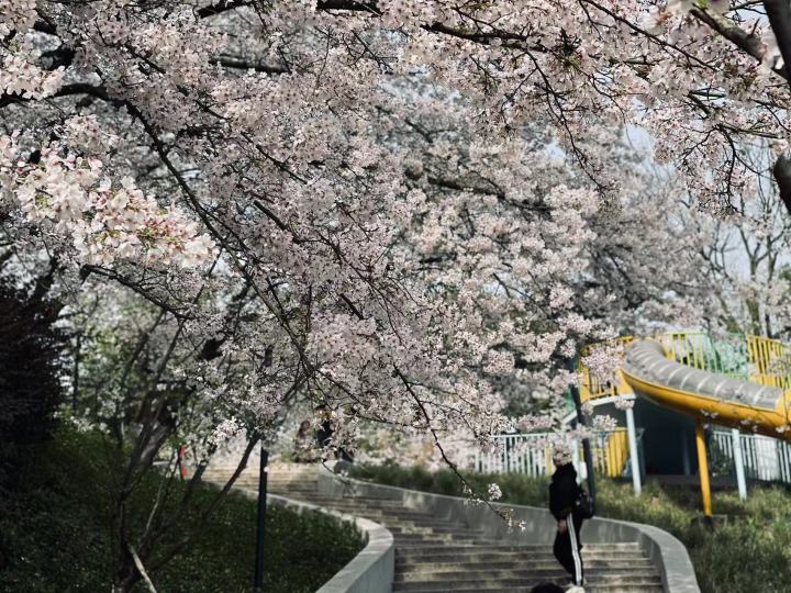 微信图片_20230327103733.jpg