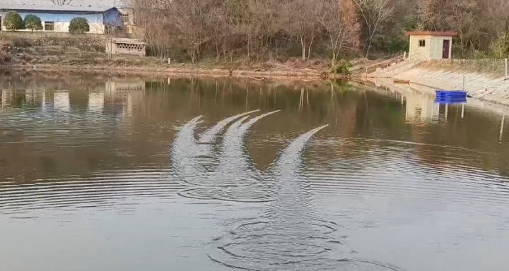 微信截图_20230327153036.png