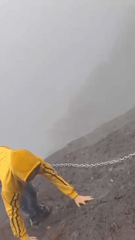 640 (7).gif