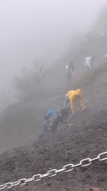 640 (6).gif