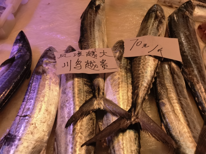 川乌 标记.jpg