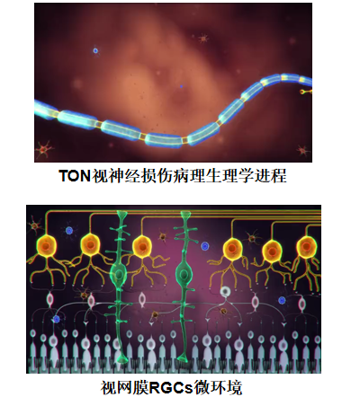 微信截图_20230328183459.png