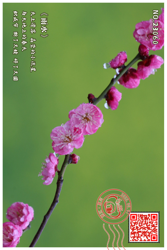一图读懂三月丨三行诗里的春花 说来“画”长