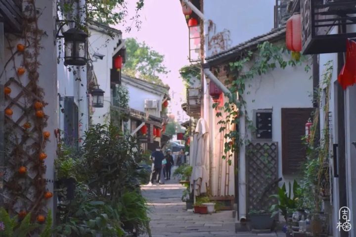 微信图片_20230404180558.jpg