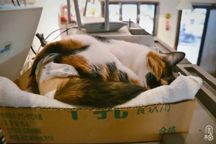 微信图片_20230404180643.jpg