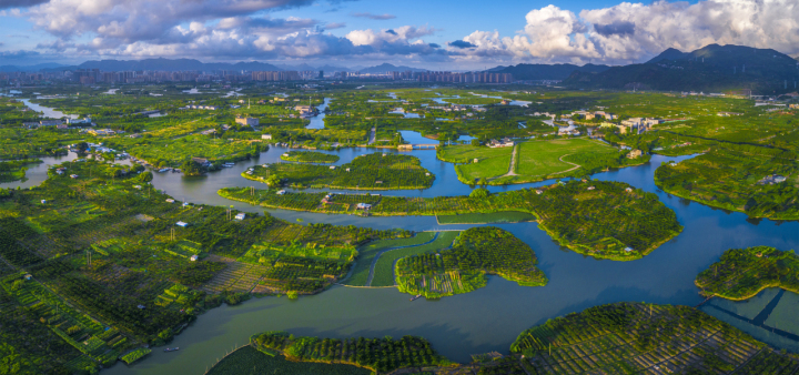 温州三垟湿地