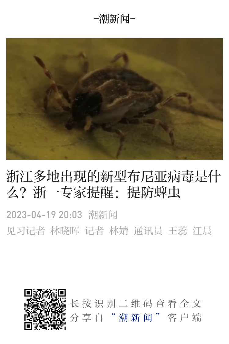 遇到这种虫子千万别打，有人差点毁容！浙江多地都有出没