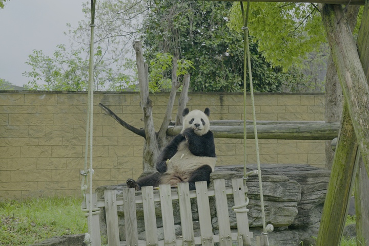 微信图片_20230419173854.jpg