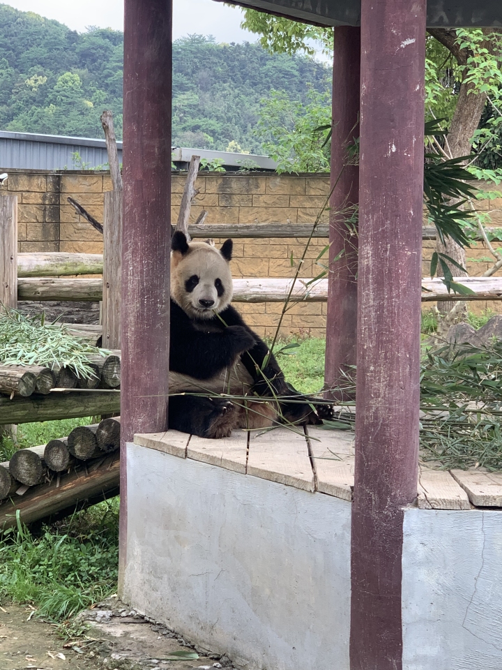 微信图片_20230419192340.jpg