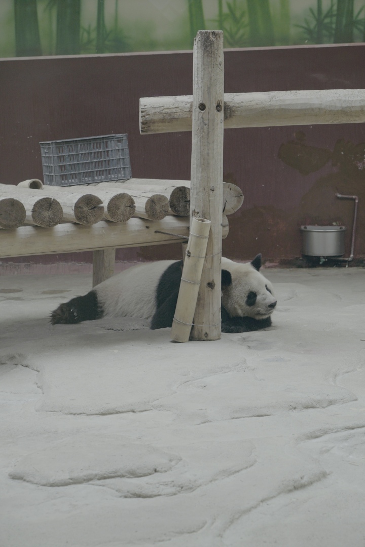 微信图片_20230419173842.jpg