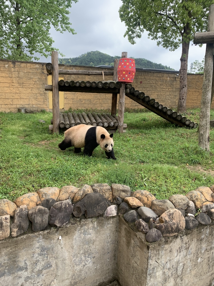 微信图片_20230419192350.jpg