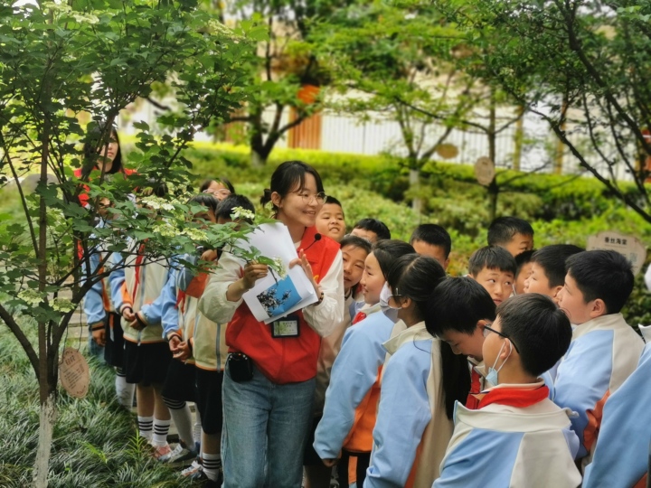 在一抹抹绿色的植物园触摸春天的希望（2）.jpg