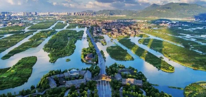三垟湿地图片1.jpg