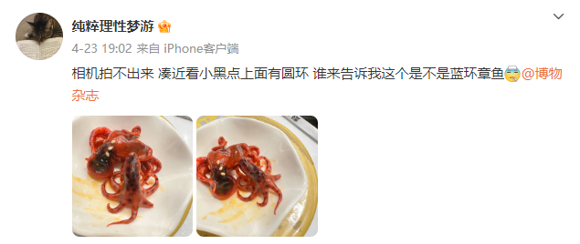 QQ截图20230425094859.png